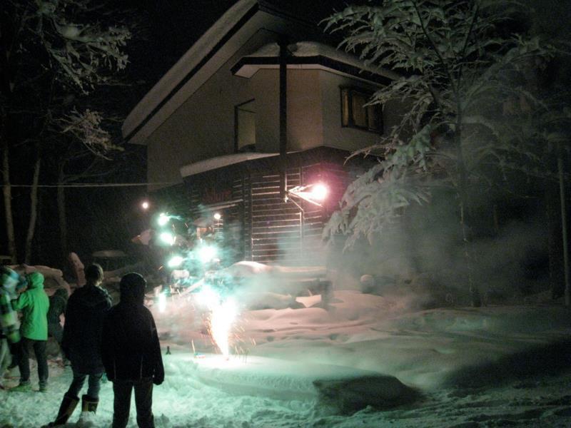 Alpine Lodge Hakuba Kültér fotó